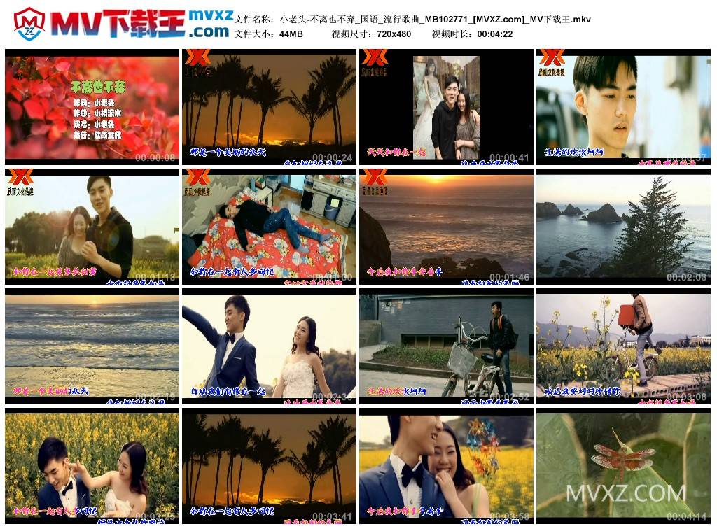小老头-不离也不弃_国语_流行歌曲_MB102771